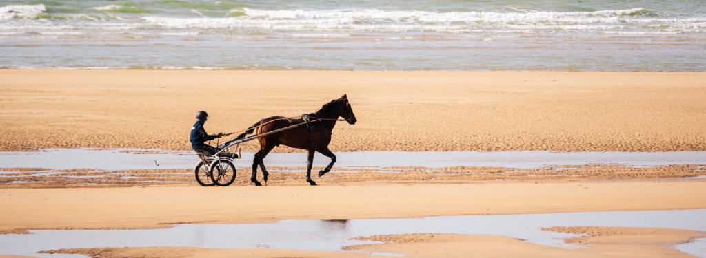 Balade à cheval sur la plage 