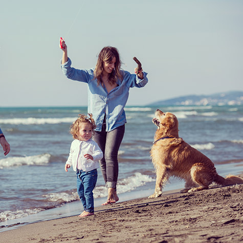 chien famille