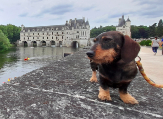 Tour de barque autour du Château de Chenonceau