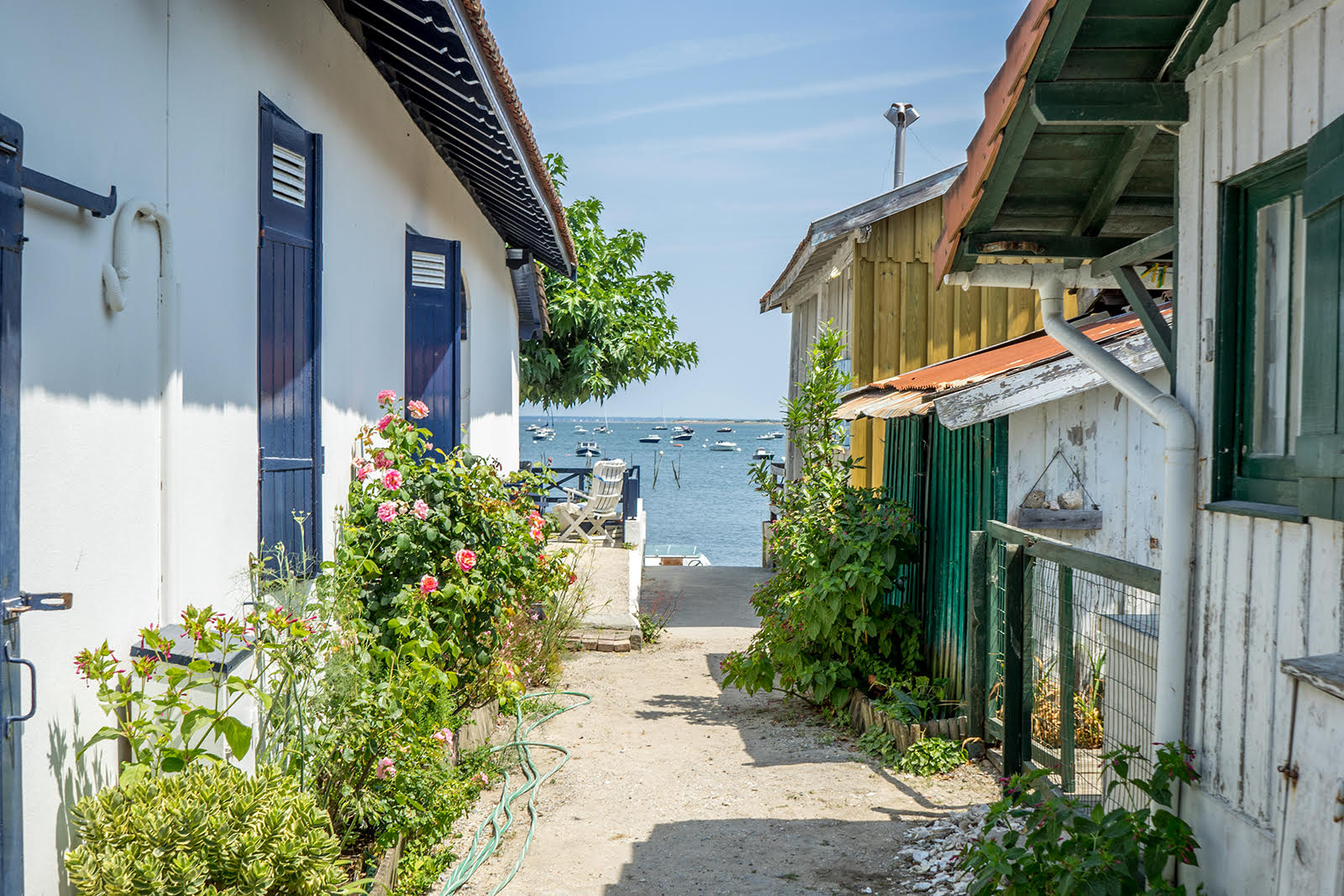 CAP FERRET