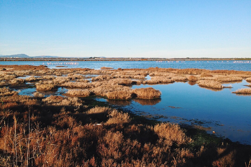 Etang de Perols