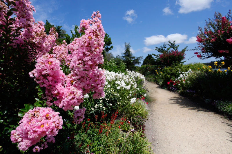 Promenade fleurie