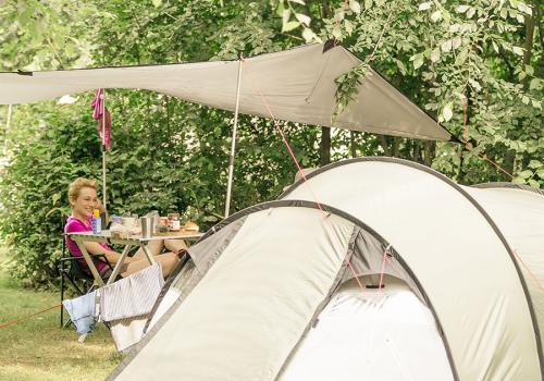 Emplacement de camping pour tente au camping Lauwersoog