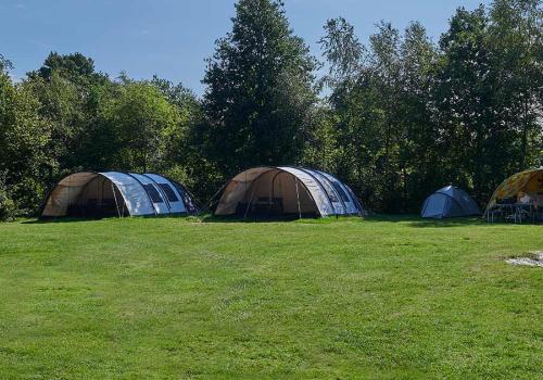 Emplacements Caravanes au camping Siblu Lente van Drenthe