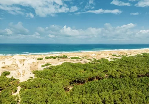 Une des plus belles plages à proximité de Biscarrosse