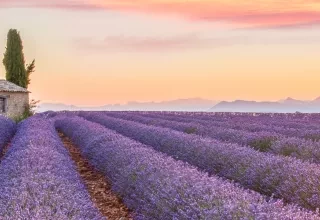 Activités dans le Sud de la France