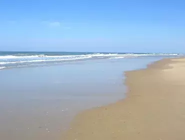 Cote sauvage la palmyre
