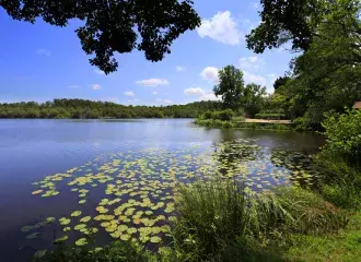 Le lac d’Aureilhan