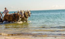 Des activités sur la plage proche de la plage du Conguel