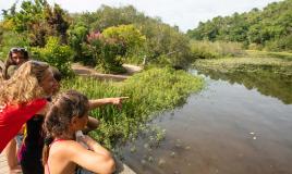 Les parfaites activités à faire en famille au camping Siblu Village Le Lac à Mimizan 2