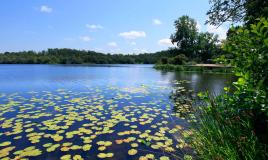 Les parfaites activités à faire en famille au camping Siblu Village Le Lac à Mimizan 3