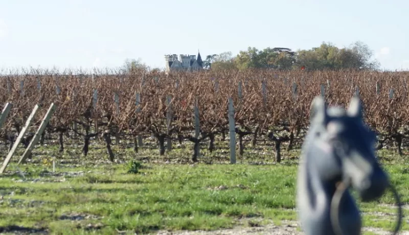 guide tourisme gironde vignoble