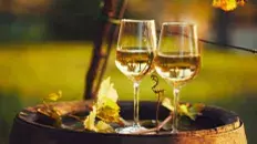 Les vins de Blois-Chambord