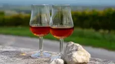 Pineau