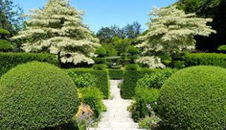 Le jardin de Castillon