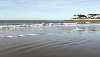 La plage des Pins de Cordouan