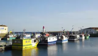 Le port de la Cotinière