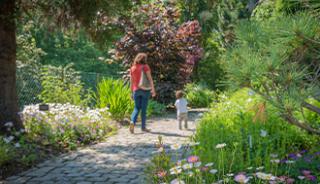 Prendre du bon temps au jardin botanique