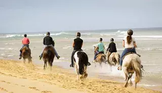 Une randonnée à cheval