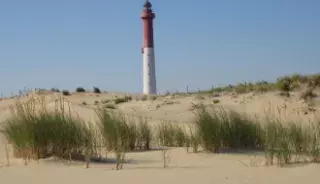 Le phare de la Coubre