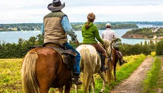 Une balade à cheval