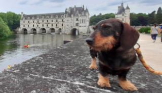 Tour de barque autour du Château de Chenonceau