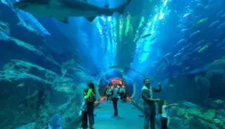 L’aquarium de La Rochelle