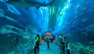 L’aquarium de La Rochelle