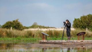 Une randonnée au Parc naturel régional des Marais du Cotentin