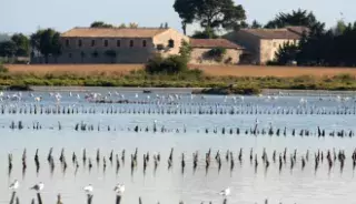 Une randonnée à Villeneuve-les-Maguelones