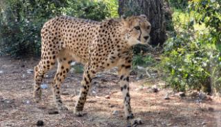 Le zoo du Lunaret à Montpellier