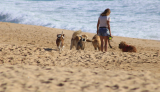 Promenade sur la plage de la baie de Bonne Anse