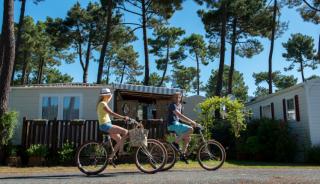 Du vélo à la Palmyre