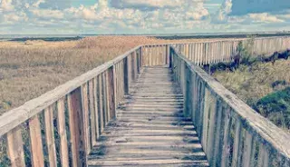 guide tourisme gironde gujan