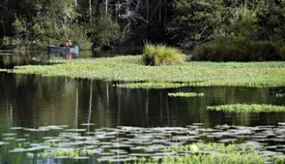guide tourisme landes marais orx