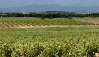 tourisme pyrenees orientales albere