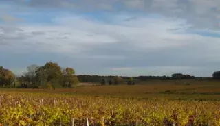tourisme vias vignes
