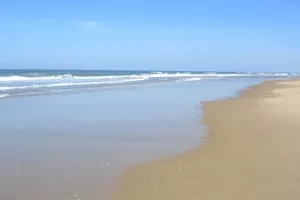 Cote sauvage la palmyre