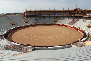 Découvrir les arènes