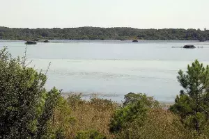 L’étang blanc