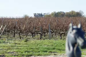 guide tourisme gironde vignoble