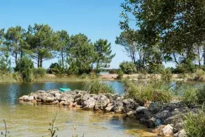 guide tourisme hourtin