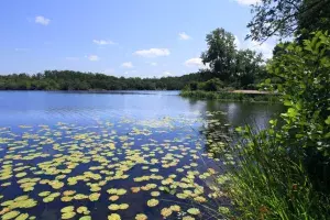 guide tourisme landes mimizan