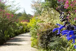 guide tourisme mimizan promenade