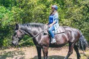 tourisme landes cheval