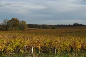 tourisme landes vignobles