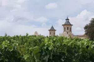 tourisme landes vins