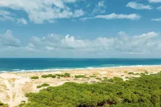 Les plus belles plages de Biscarrosse proche des campings Siblu