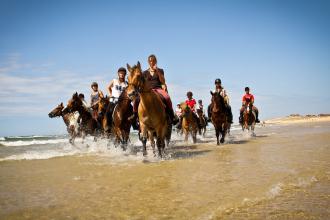 camping et équitation