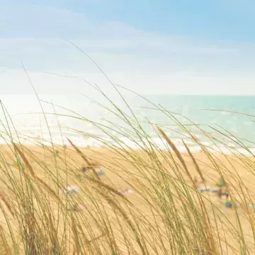 Que faire à Mimizan